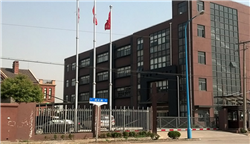 上海环境展示