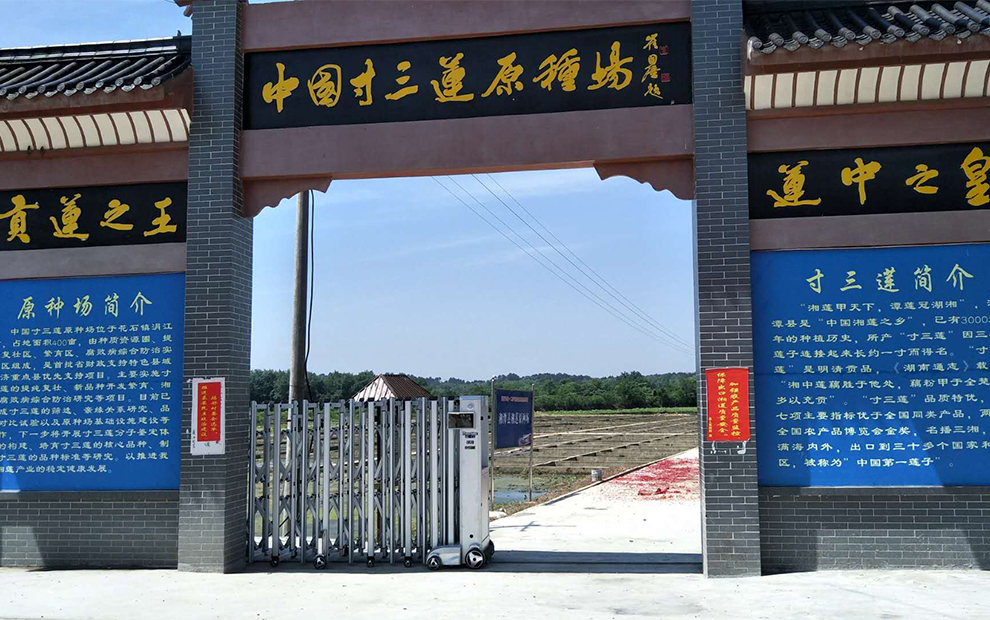 湘莲食品