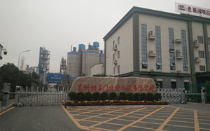 葛洲坝石门特种水泥有限公司