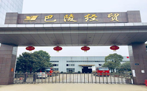 巴陵经贸
