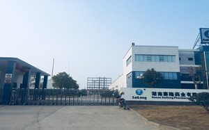 湖南赛隆药业有限公司